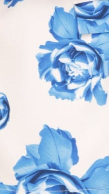 Thea Mini Dress - Blue Rose