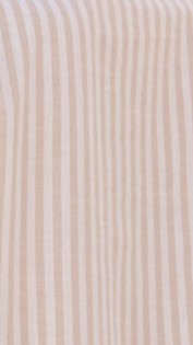 Tarnie Mini Dress - Beige Stripe