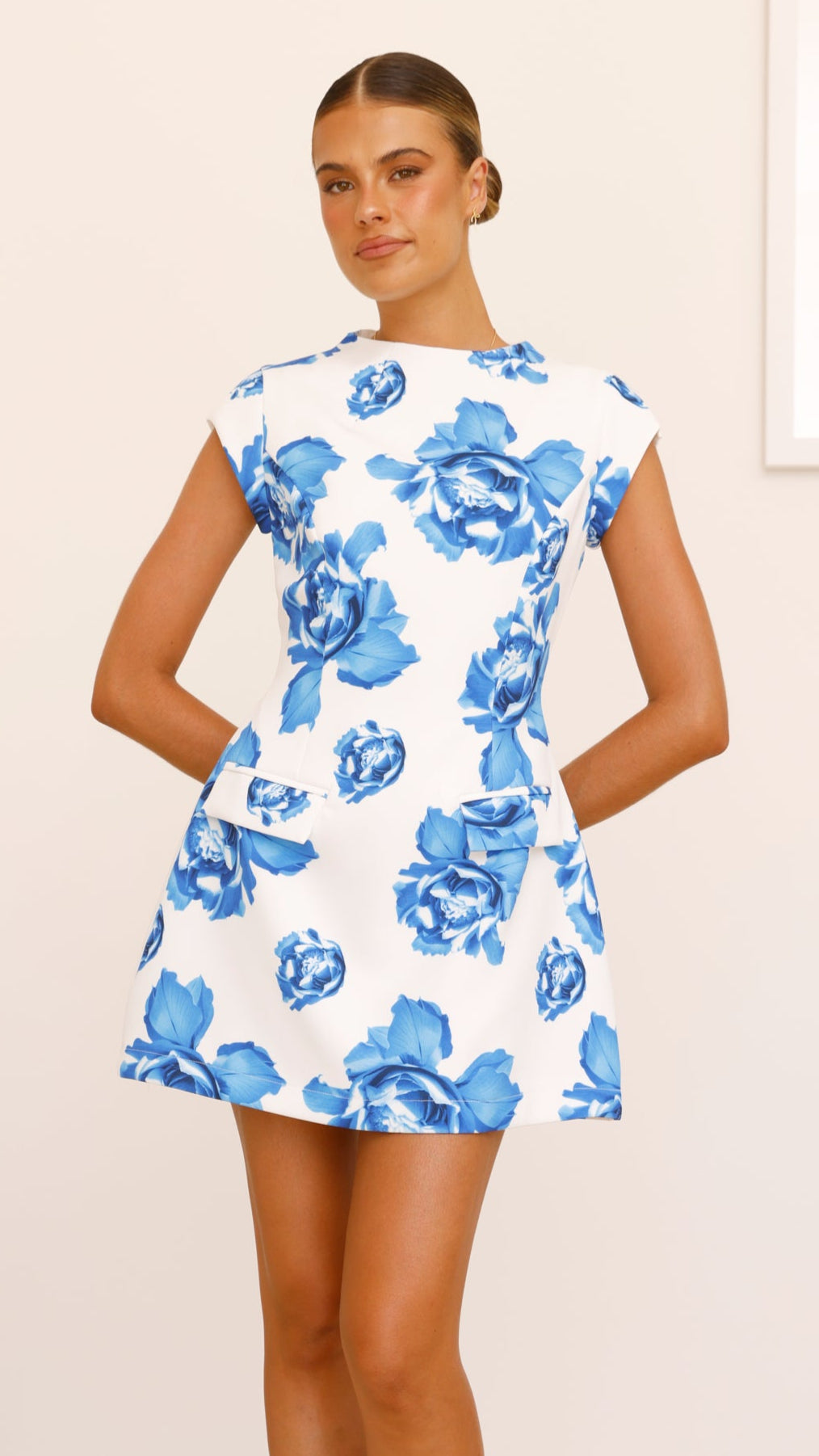 Thea Mini Dress - Blue Rose