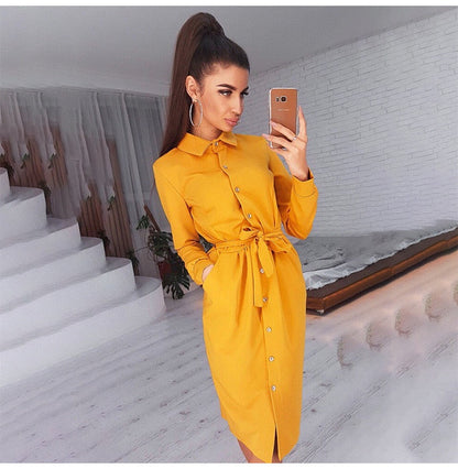 Lady Office Dress Autumn Long Sleeve Shirt Dress Fashion Turn-down Collar Single-breasted Party Dresses Платье  Casual Vestido