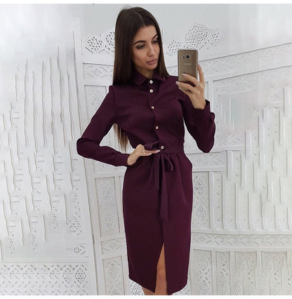 Lady Office Dress Autumn Long Sleeve Shirt Dress Fashion Turn-down Collar Single-breasted Party Dresses Платье  Casual Vestido