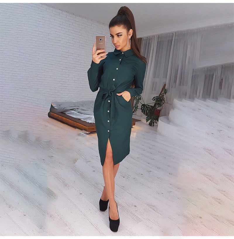 Lady Office Dress Autumn Long Sleeve Shirt Dress Fashion Turn-down Collar Single-breasted Party Dresses Платье  Casual Vestido