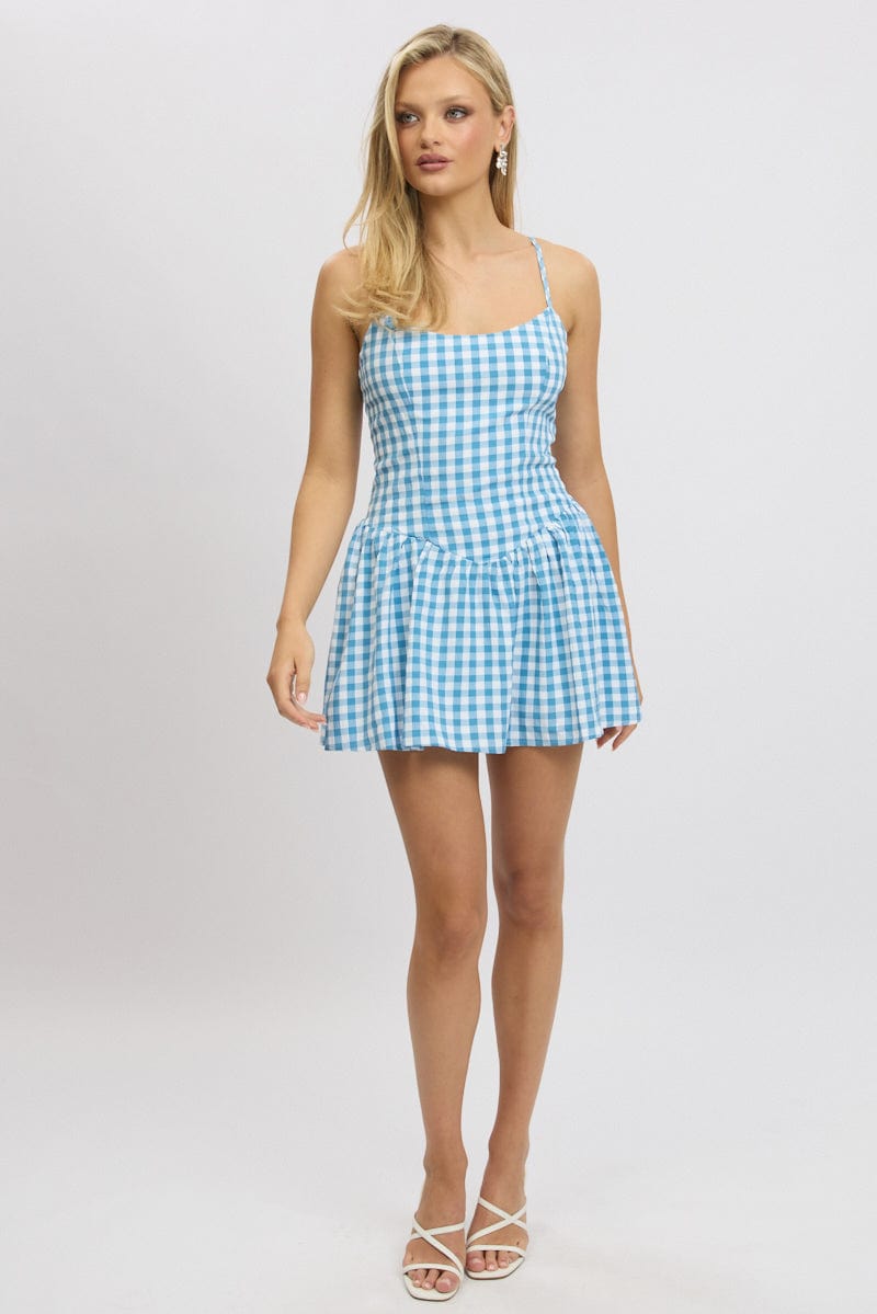 Blue Check Fit And Flare Dress Mini